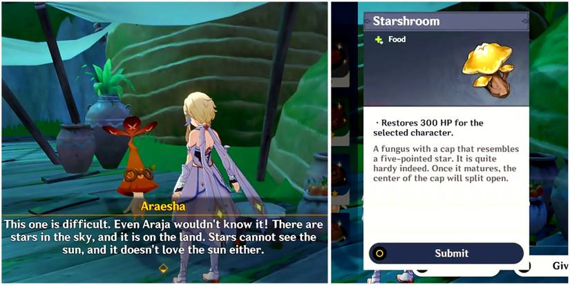 araesha third riddle solution in genshin impact