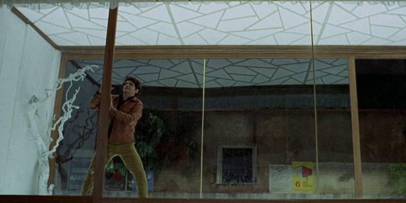 bird with the crystal plumage