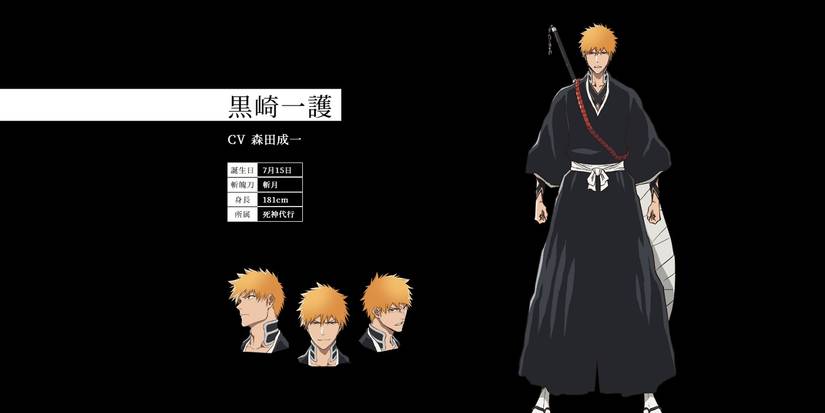 bleach-ichigo-profile
