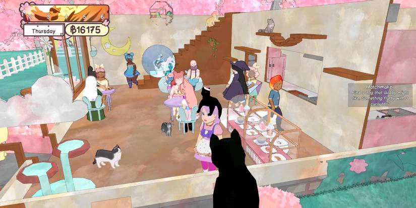 calico cafe steam coffee cats