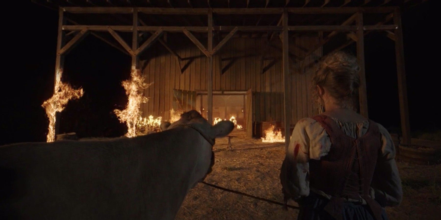 Celeste (Julia Schlaepfer) with cow outside Browne barn in American Horror Stories "Milkmaids"