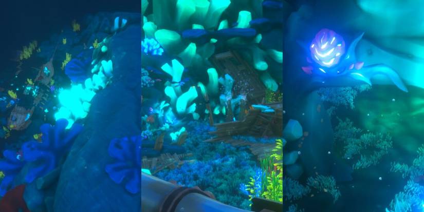 Swimming To And Locating The Entrance To The Treasury Of Secret Wilds In Sea Of Thieves