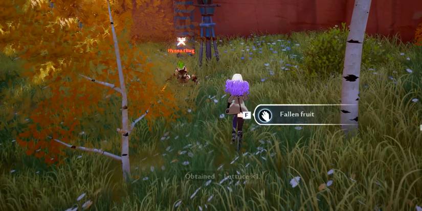 collecting fallen fruits in tower of fantasy