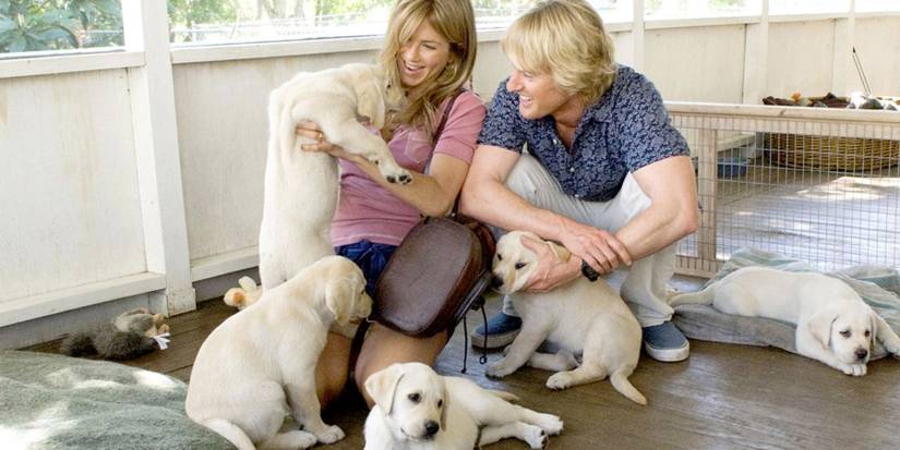 The Grogans playing with Labrador puppies in Marley and Me