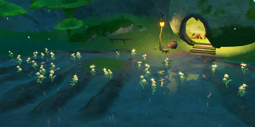 dream nursery in genshin impact