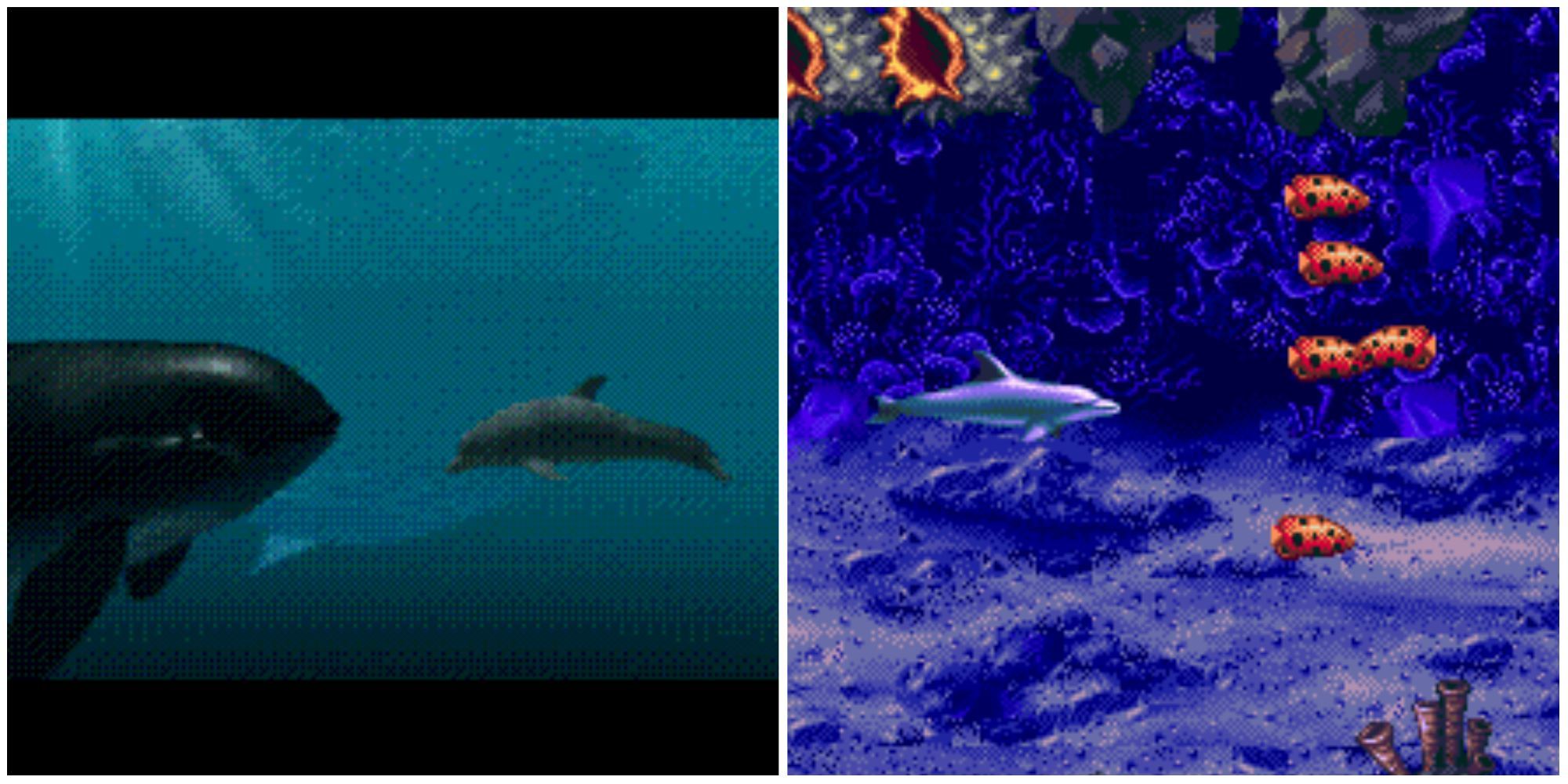 Left - FMV from the game featuring Ecco and a Killer Whale, Right Ecco swimming in front of 5 multicolored fish