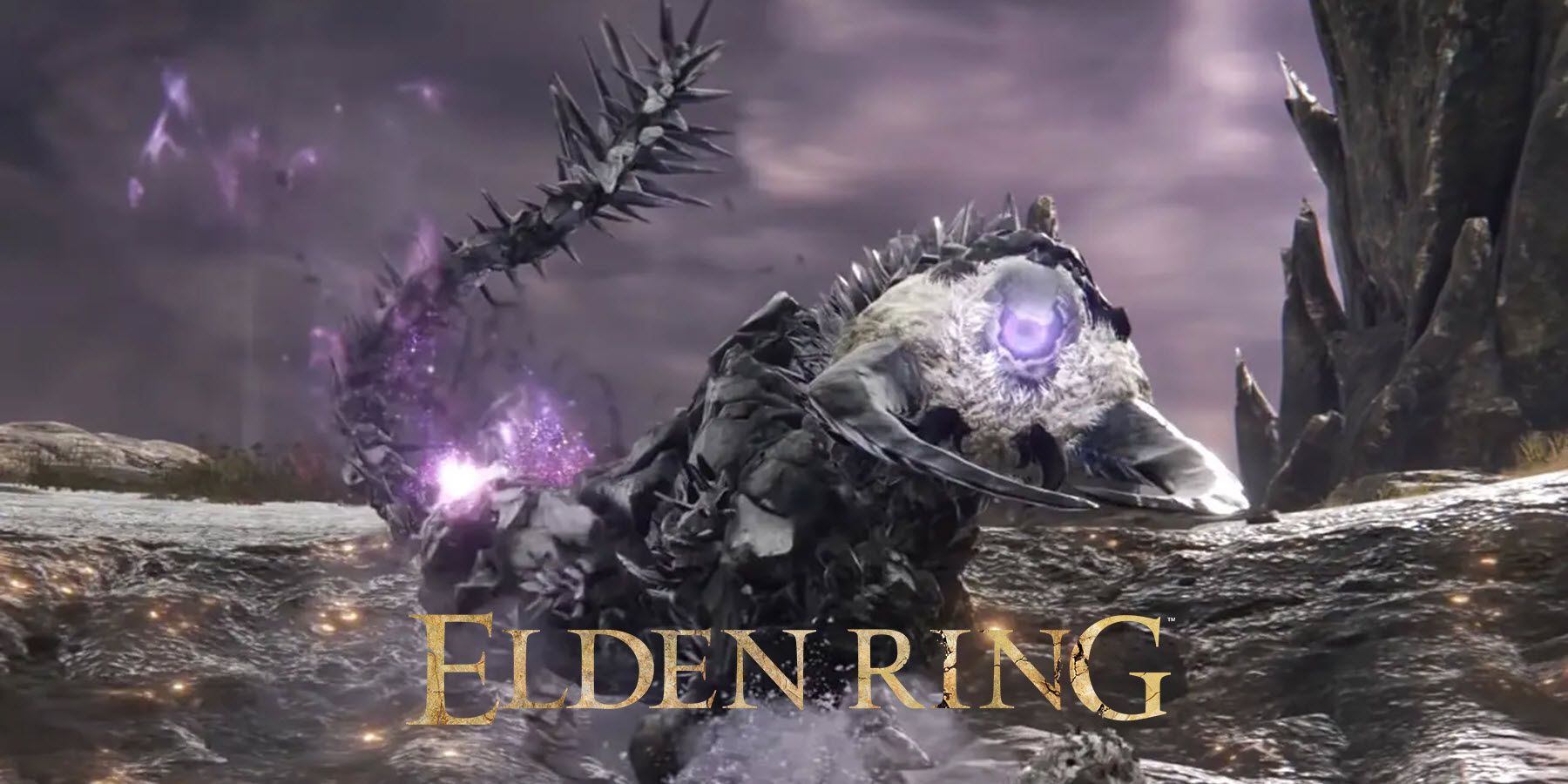 Elden Ring Fallingstar Beast Boss Fight Ends in Heartbreak