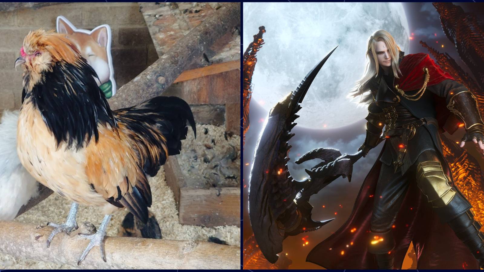 ffxiv mudchute farm london endwalker livestream