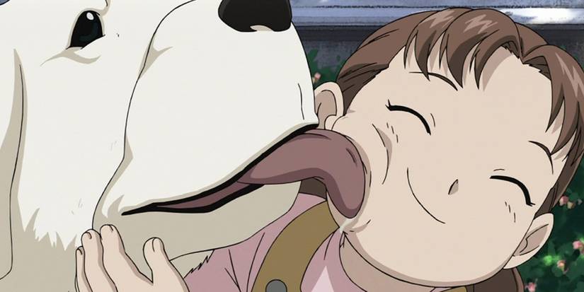 full metal alchemist anime