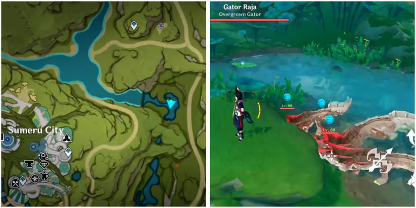 gator raja location in genshin impact