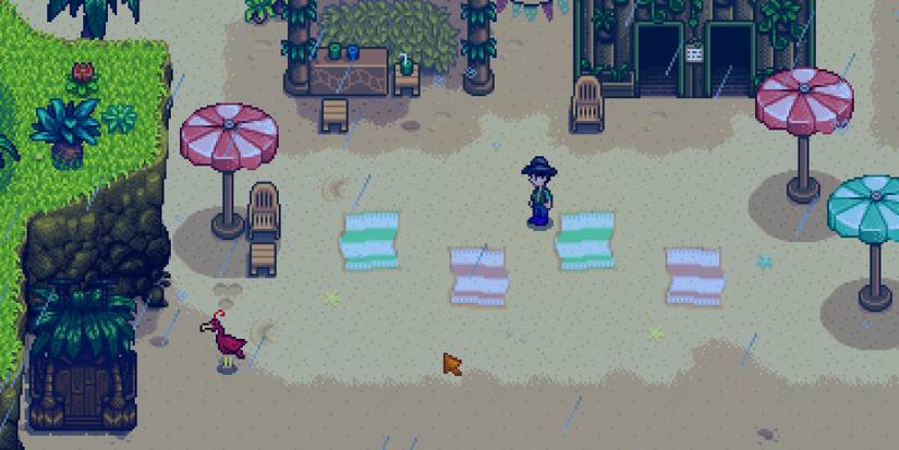 gem bird ruby stardew valley