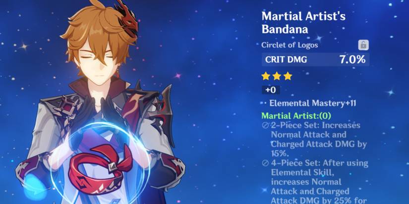 genshin impact martial artist set