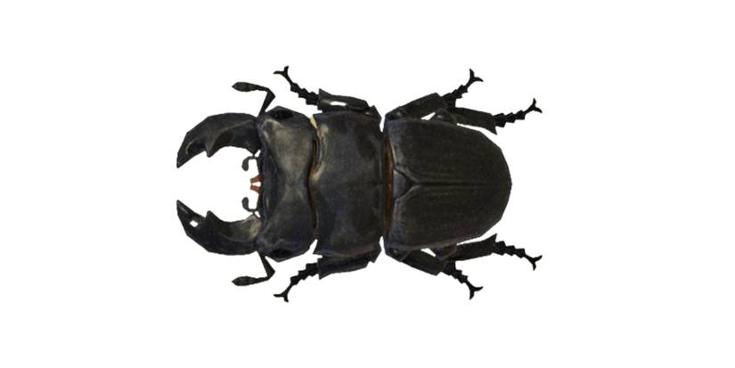 Giant Stag Animal Crossing: New Horizons