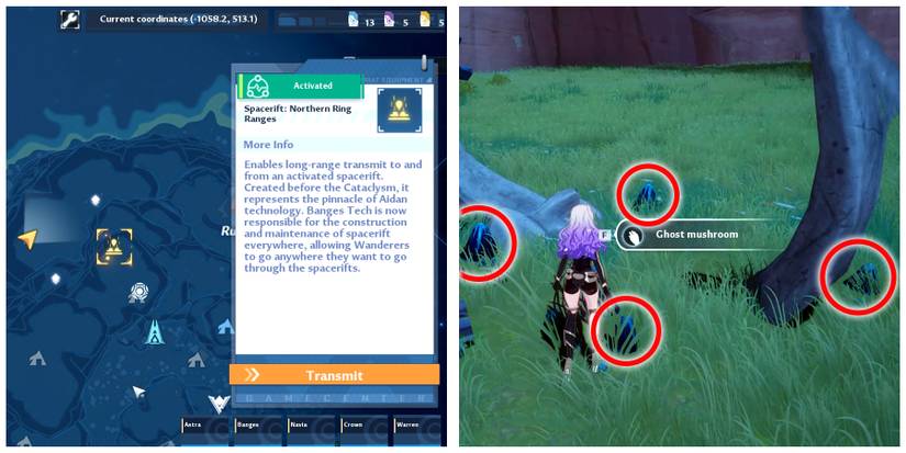 glowing mushroom location one in tower of fantasy