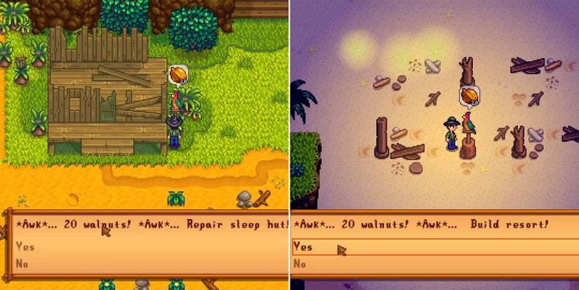 golden walnut stardew valley purchasing