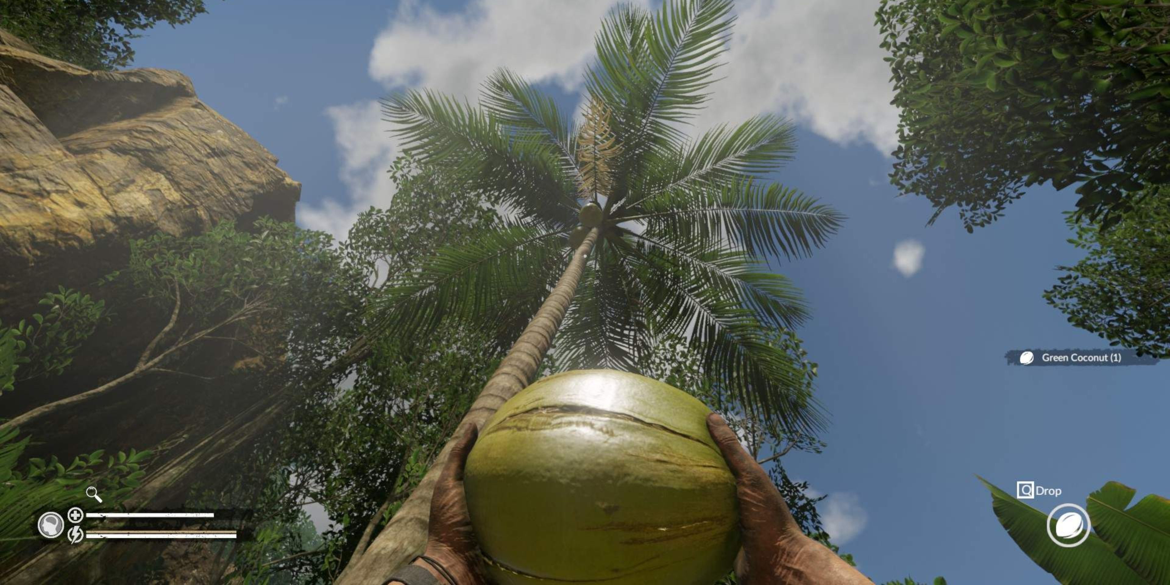 player collecting a coconut