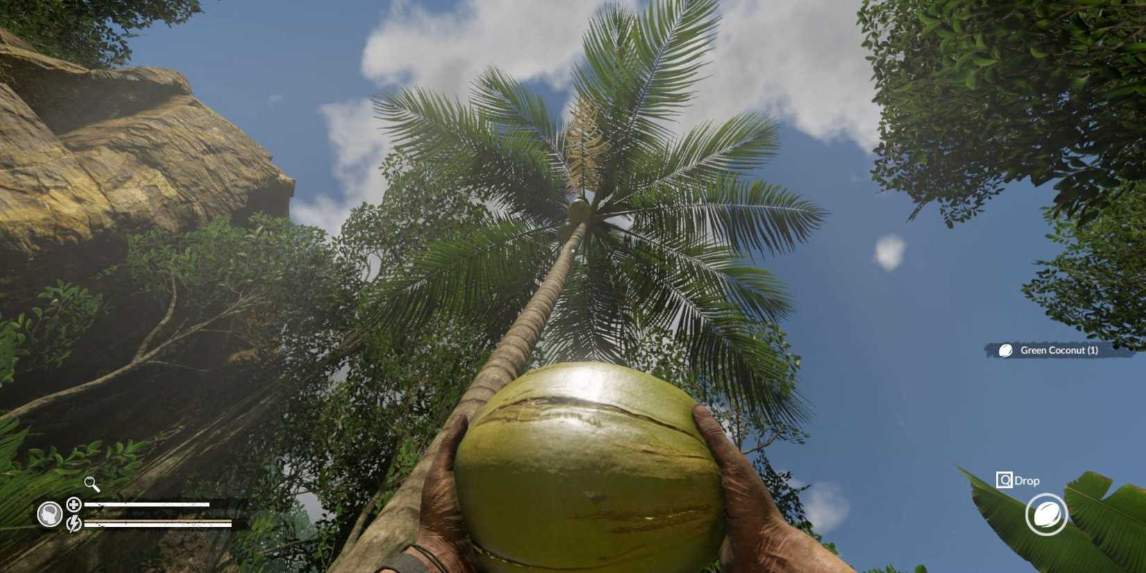 player collecting a coconut