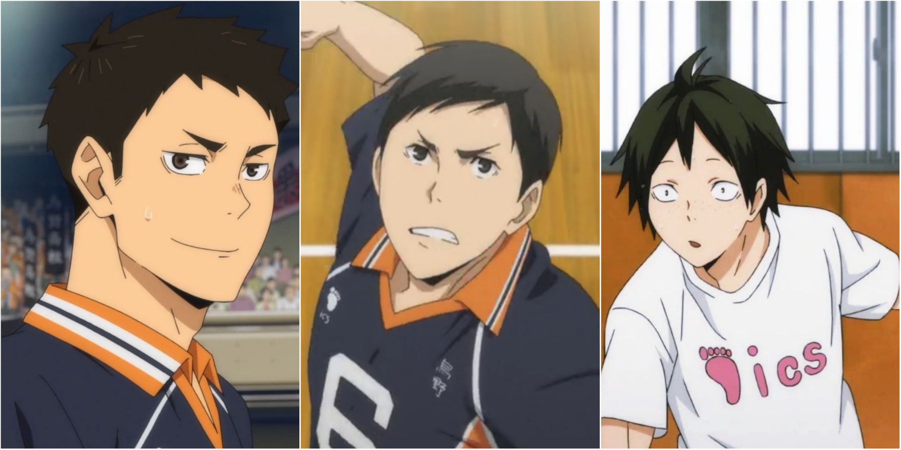 Get to know the team members of Karasuno High Volleyball team – Haikyuu!!  Reviews