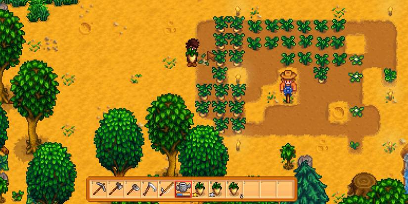 harvesting crops stardew valley