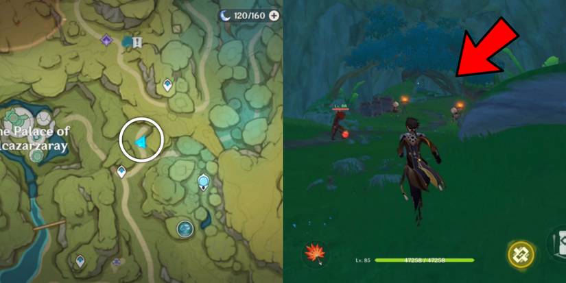 how to find arashakun in the cave Genshin Impact 