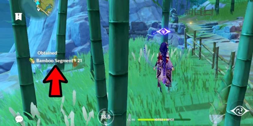 how to use boon of the elder tree Genshin Impact 