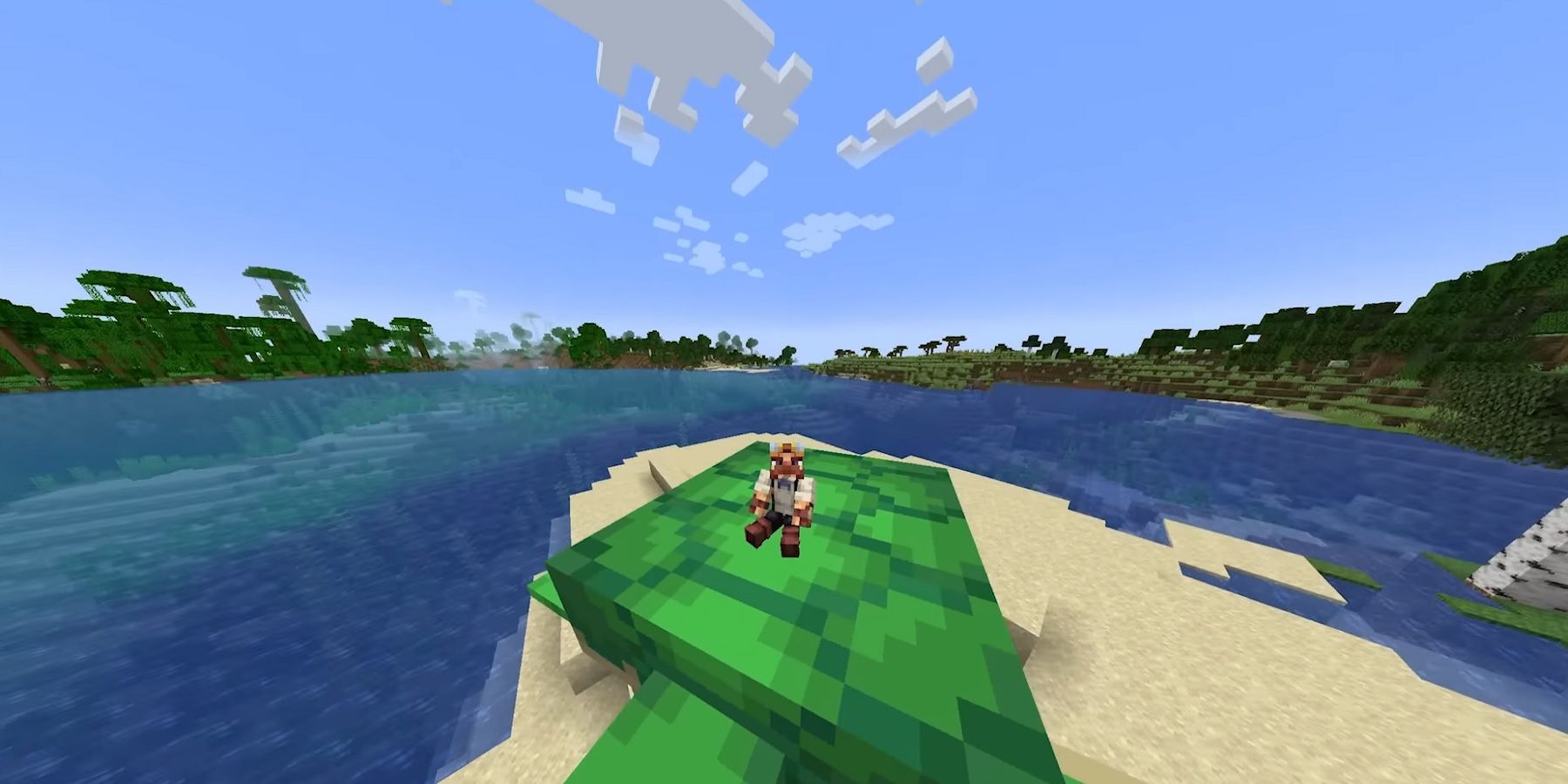 Image from Minecraft showing the player riding on the back of a giant sea turtle.