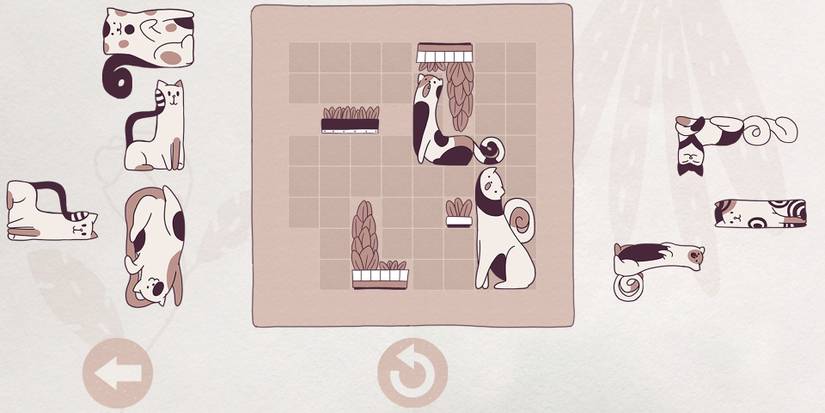 Cats Organized Neatly