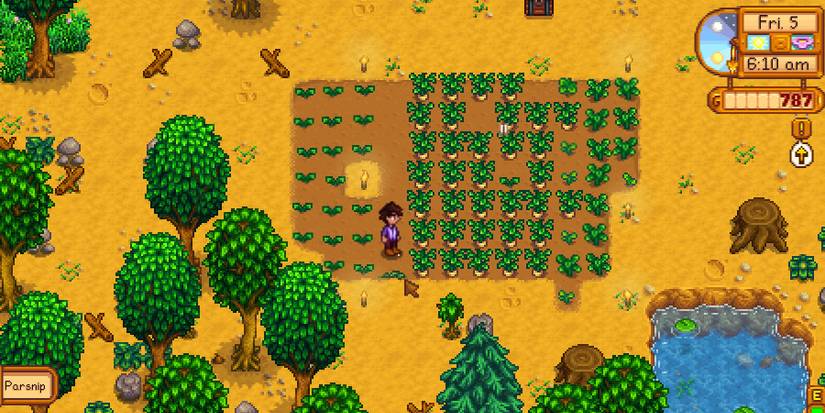 parsnip stardew valley
