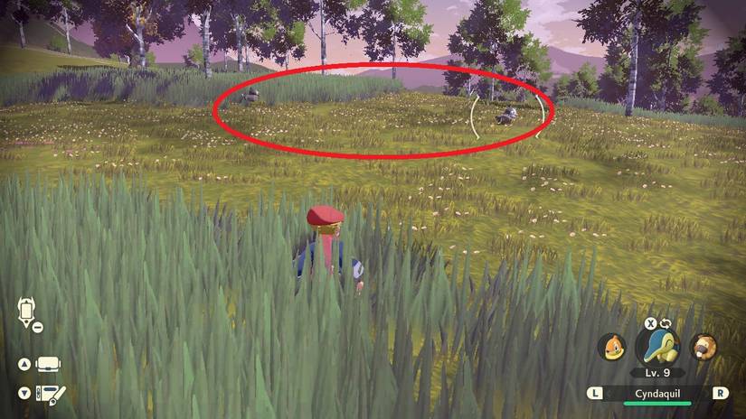 pokemon-legends-arceus-request-2-adorable-starly1