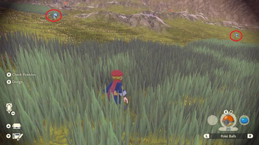 pokemon-legends-arceus-request-3-what-did-shinxs-ears-look-like-2