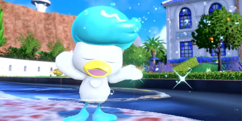 pokemon scarlet and violet quaxly