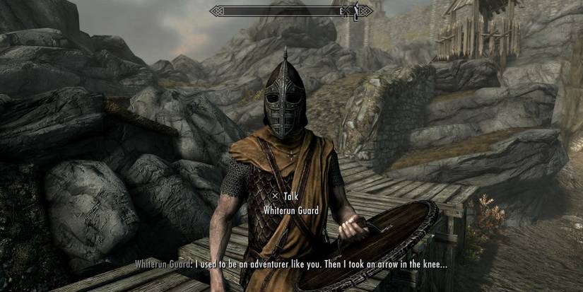 An image from Skyrim showing a Whiterun Guard talking about taking an arrow to the knee.