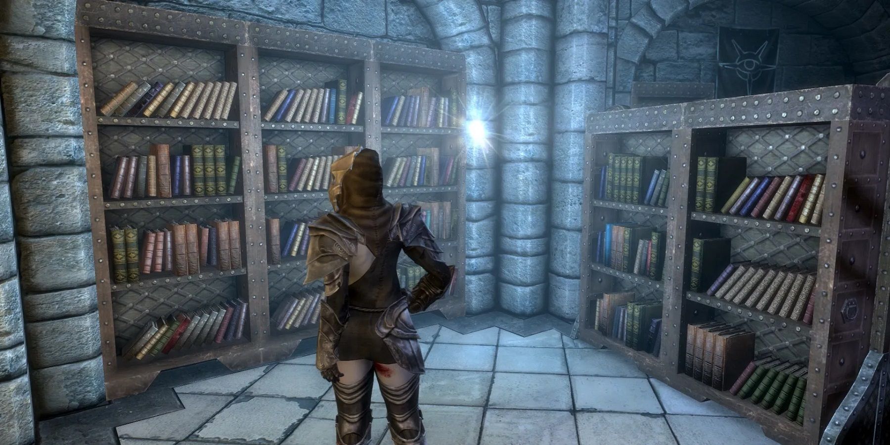 Screenshot from The Elder Scrolls 5: Skyrim showing a character stood in front of some book shelves.