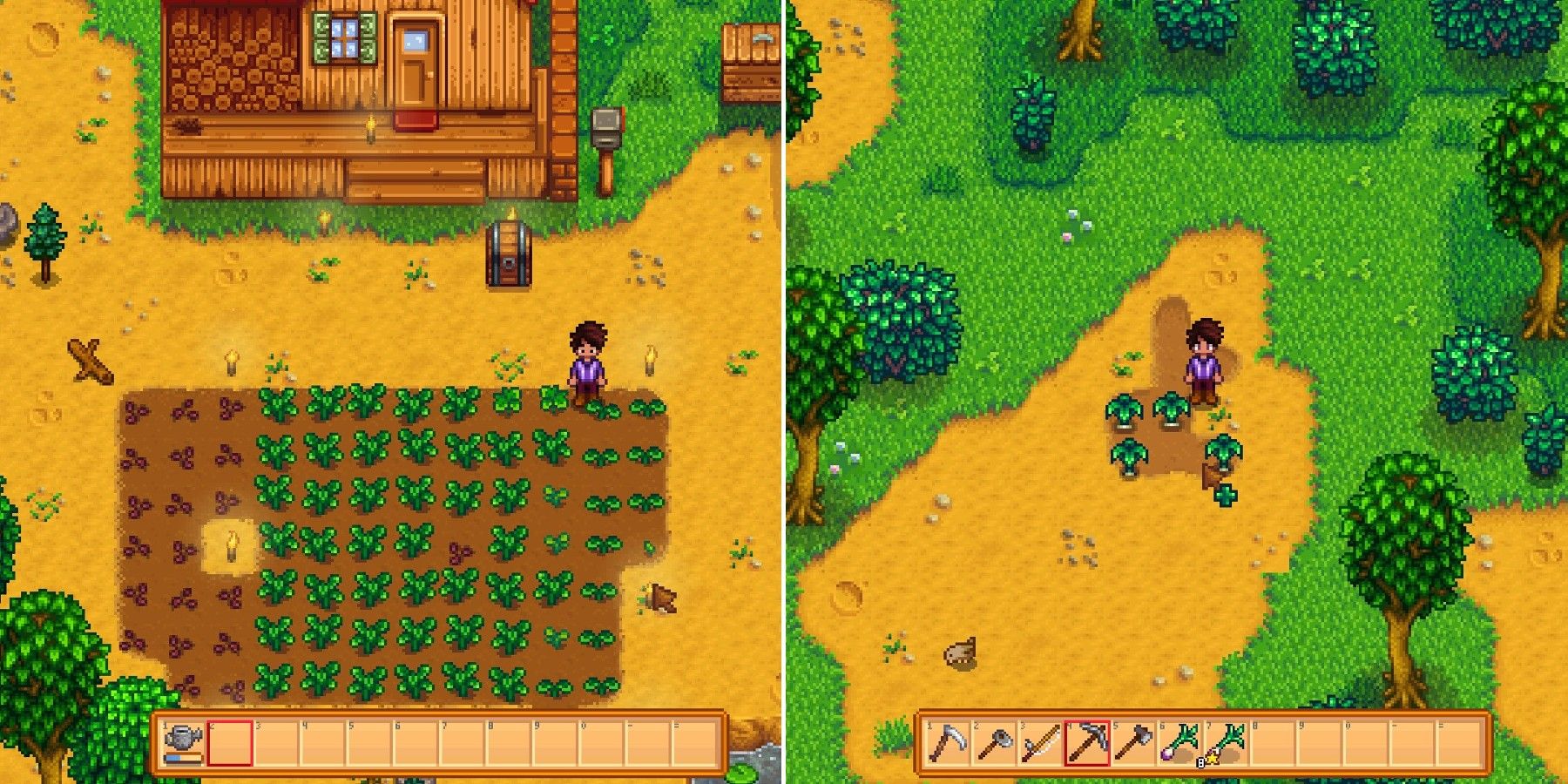 stardew crops and forage