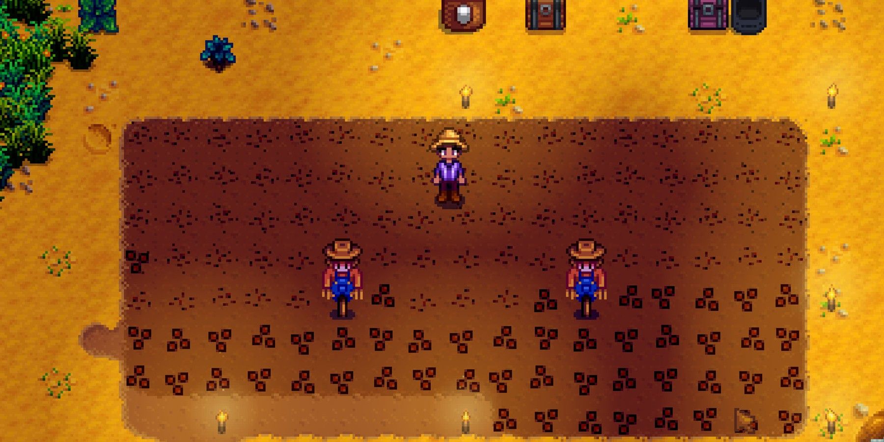 A field of seeds in Stardew Valley