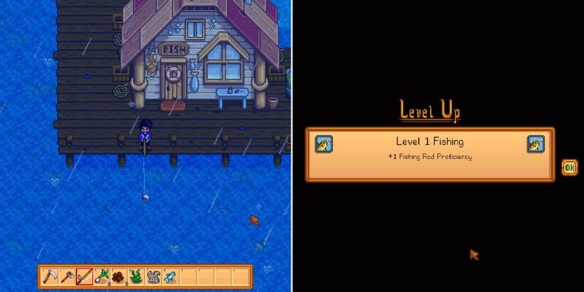 stardew fishing level 1