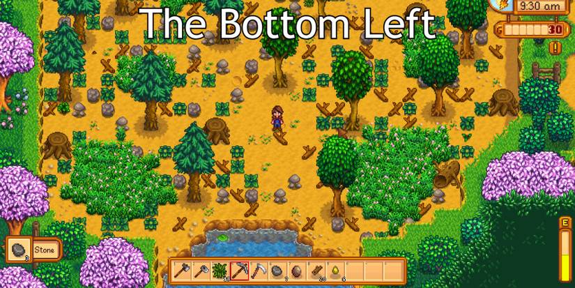 stardew valley four corner farm bottom right