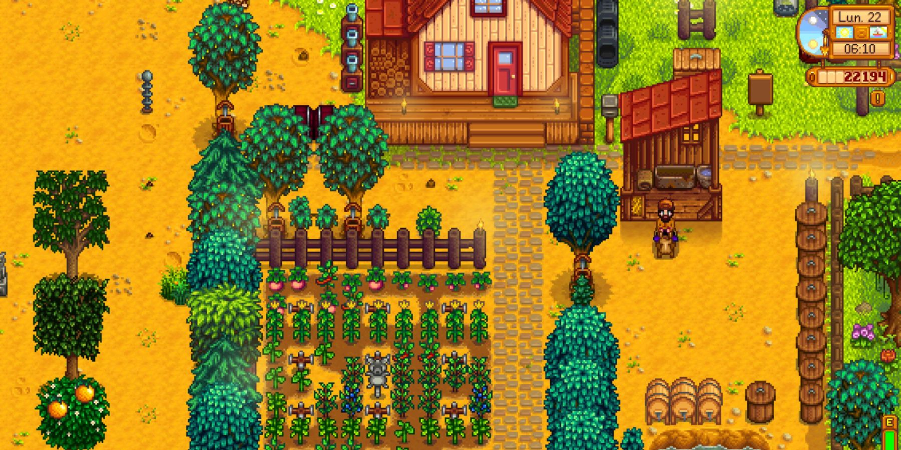 stardew valley horse stable