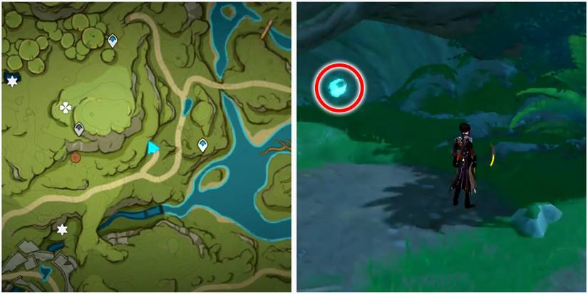 sumeru seelie location in genshin impact