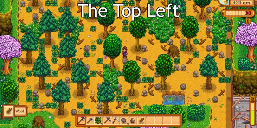 top left corner stardew valley four corner farm
