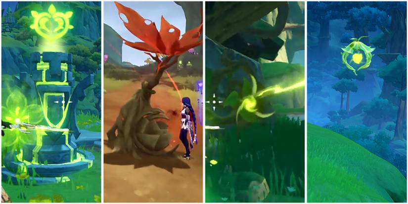 what to use dendrograna on in genshin impact