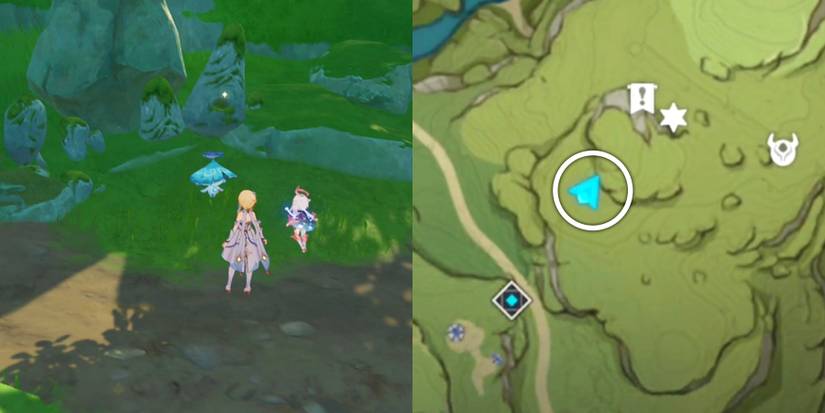 where to meet ararycan again in genshin impact