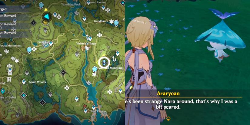 where to meet ararycan in genshin impact