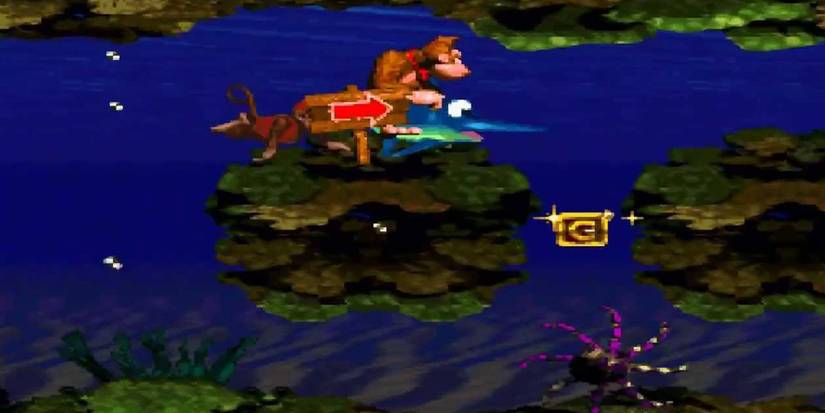 0_0008_Donkey Kong - Coral Capers