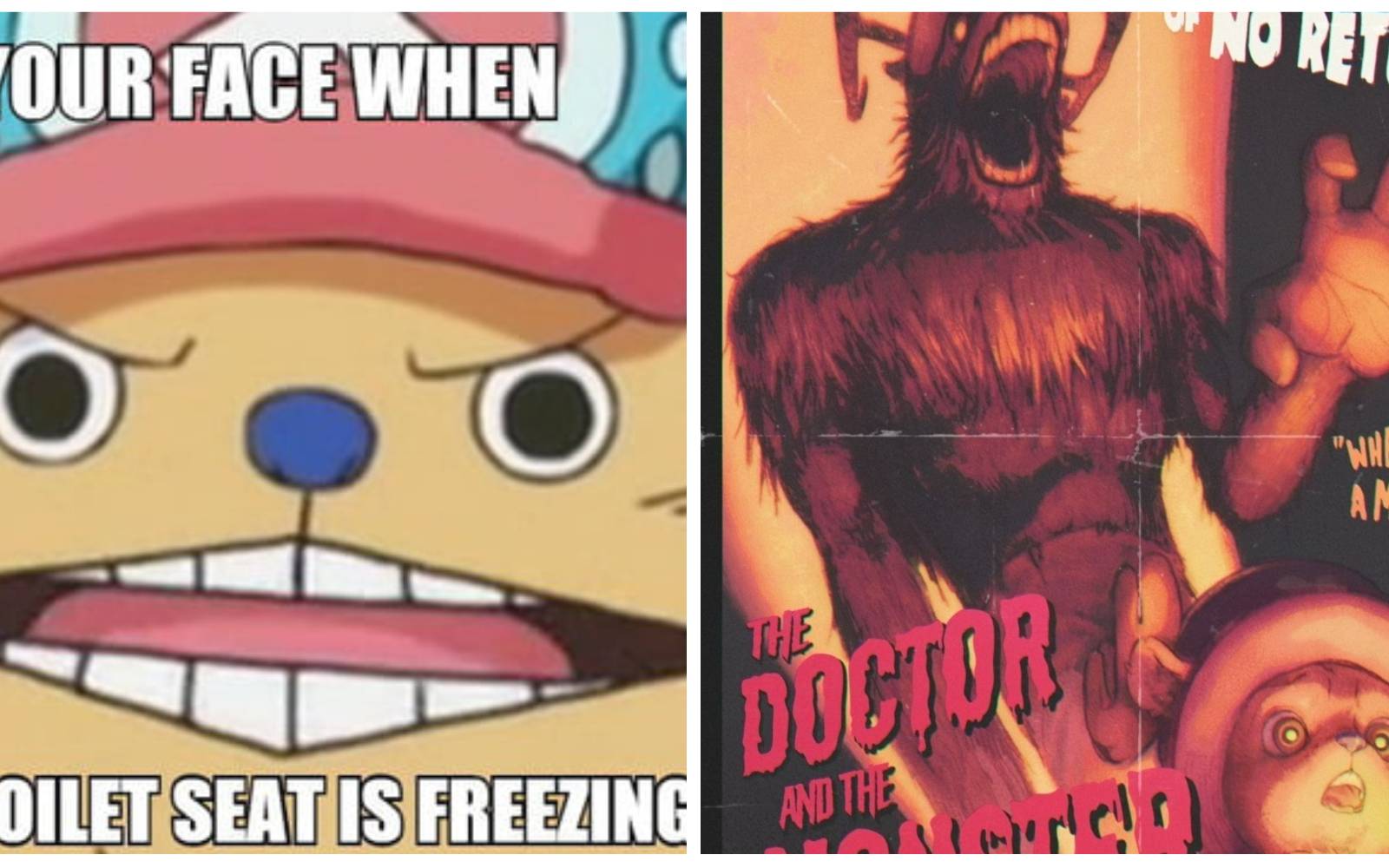 One Piece: Funniest Chopper Memes, image size:1600x1000