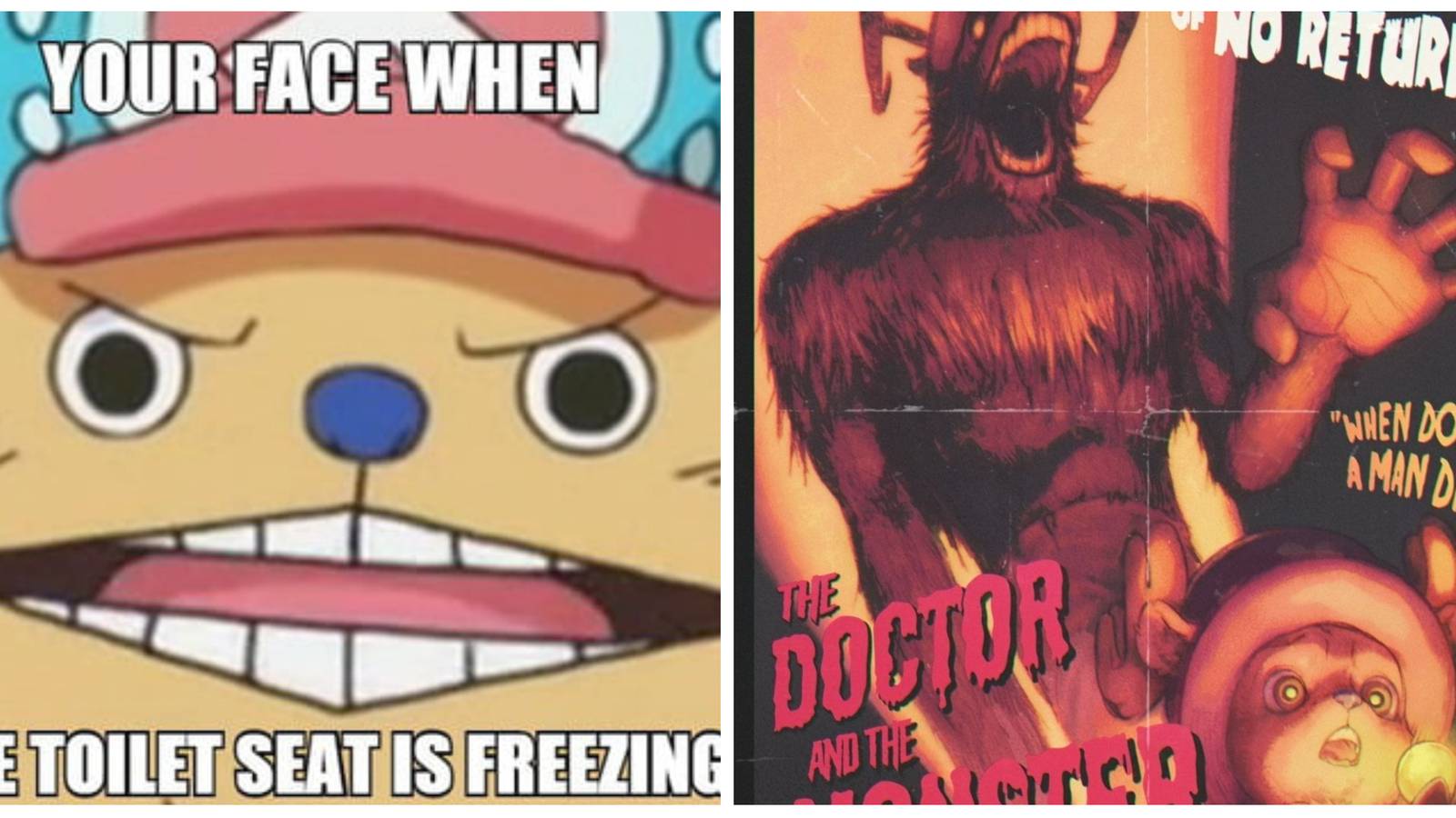 Chopper Meme Racoon One Piece: Funniest Chopper Memes