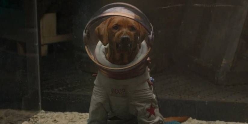 4009897-cosmo Cropped