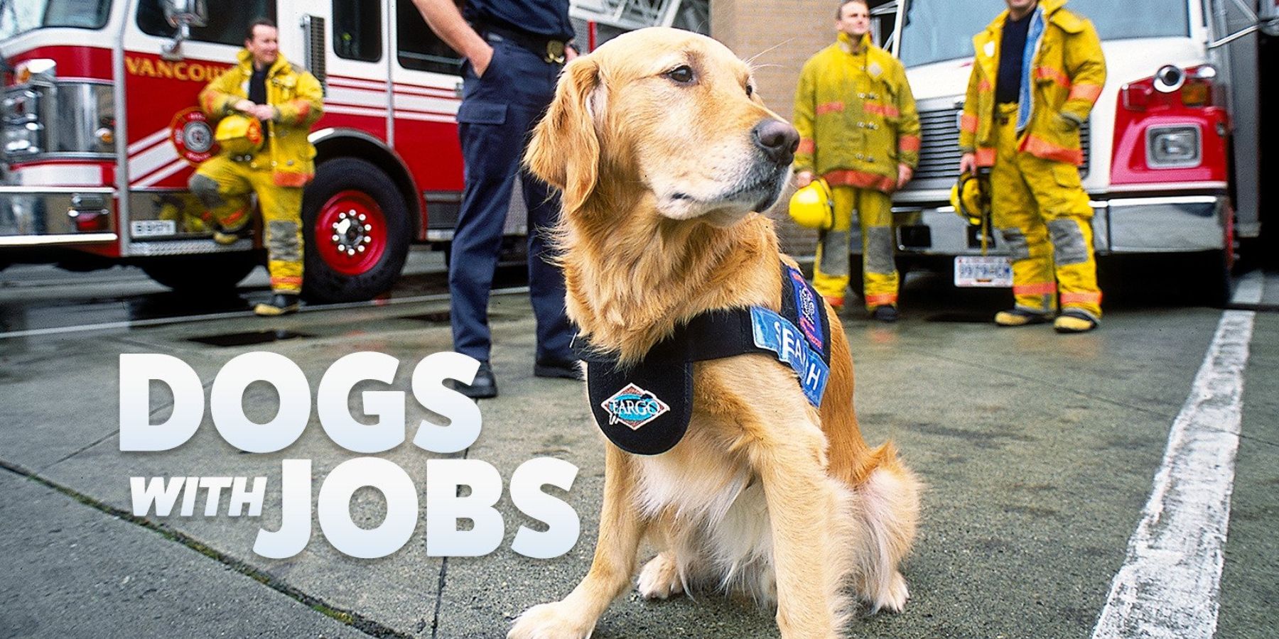 Dogs With Jobs Amazon Prime Video TV Series