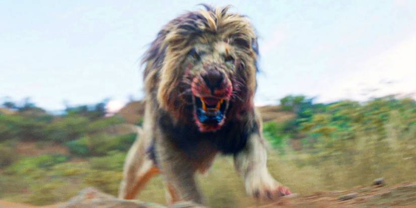 The Lion Attacking In Beast