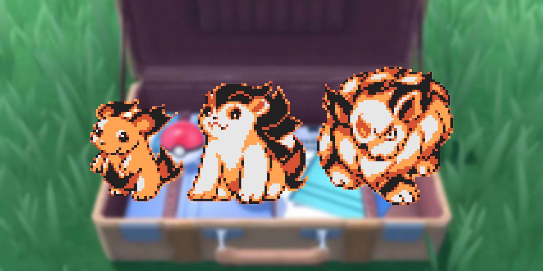 The beta fire starter line planned for Pokemon Gold and Silver